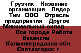 Грузчик › Название организации ­ Лидер Тим, ООО › Отрасль предприятия ­ Другое › Минимальный оклад ­ 16 000 - Все города Работа » Вакансии   . Калининградская обл.,Светлогорск г.